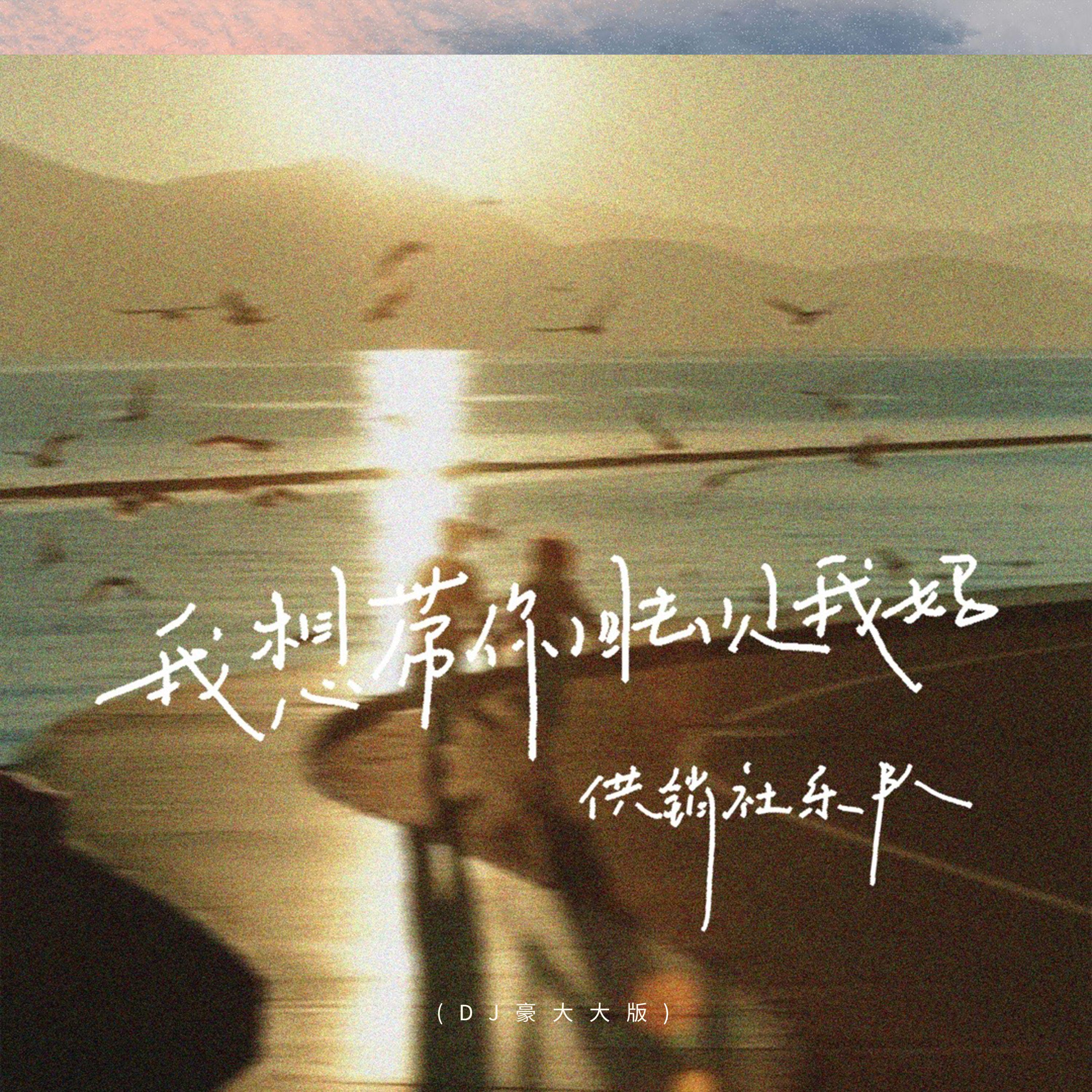 我想带你回去见我妈（DJ豪大大版）