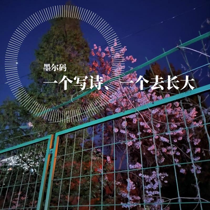 一个写诗一个去长大