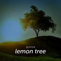 Lemon Tree专辑