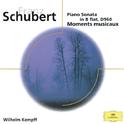 Schubert: Piano Sonata in B flat D 960; Moments musicaux D 780专辑