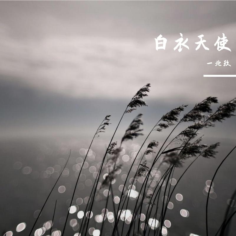 白衣天使