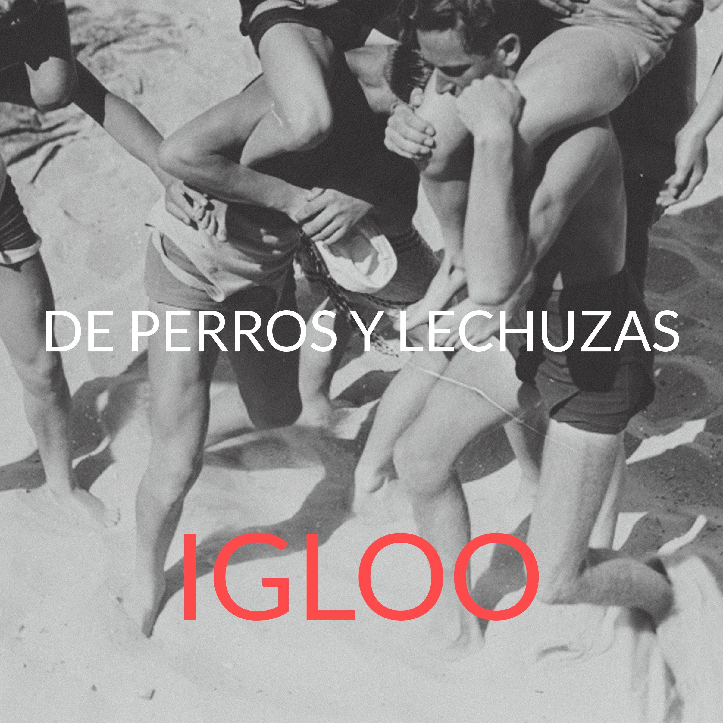 De Perros y Lechuzas