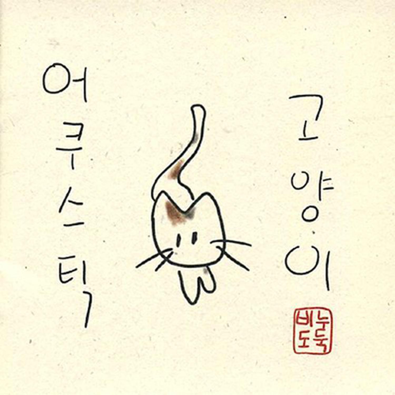 어쿠스틱 고양이