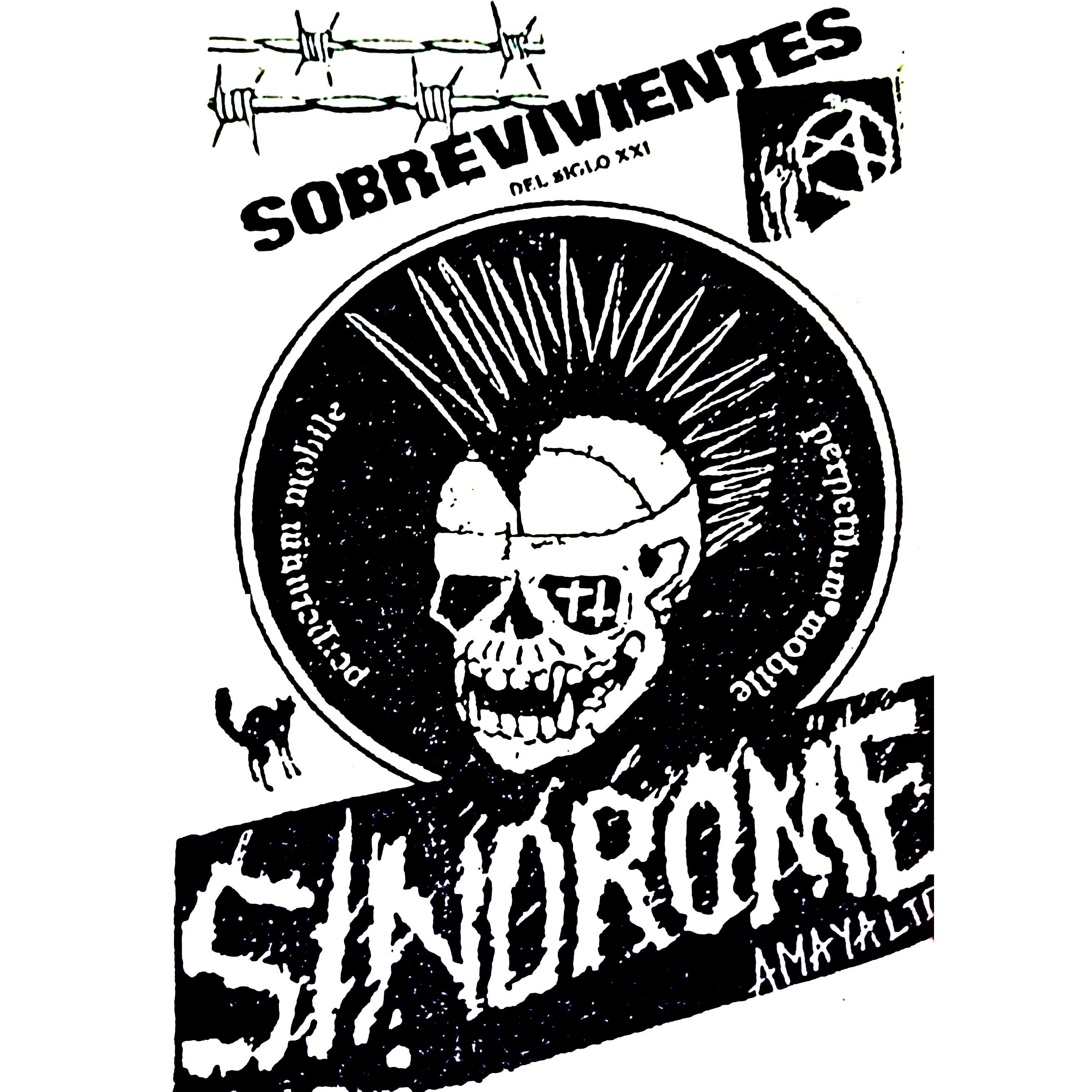 Sobrevivientes DEL Siglo XXI