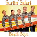 Surfin' Safari