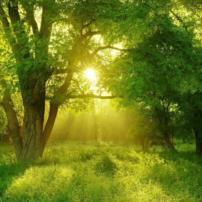 雪的梦幻（班得瑞）