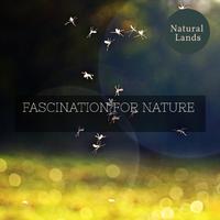 Fascination For Nature