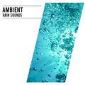 16 Ambient Rain Sounds: Natural Sounds for Stress Relief, Sleep, Anxiety and Wellbeing