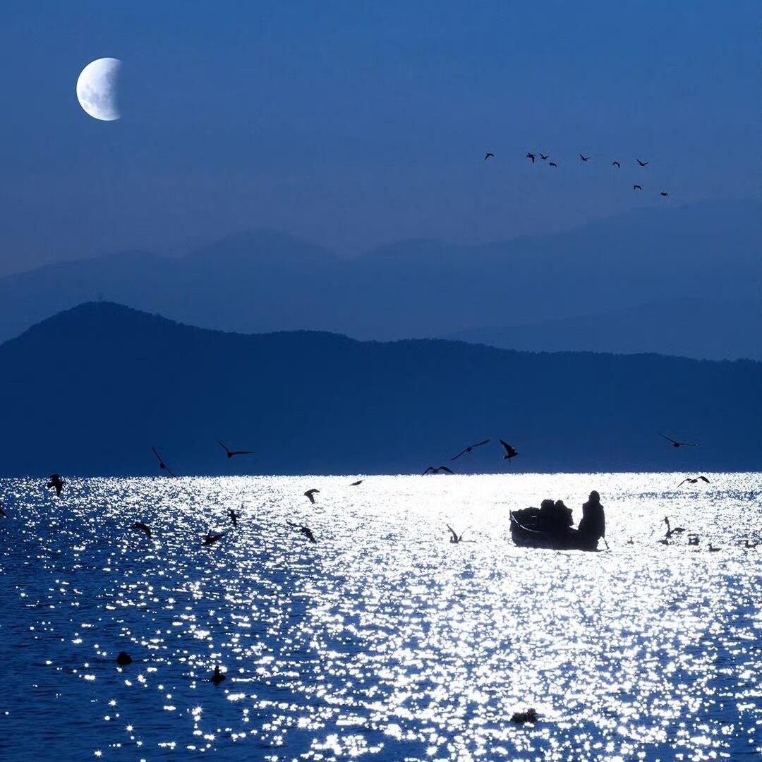 月亮不会奔你而来【HB to 慕寒】