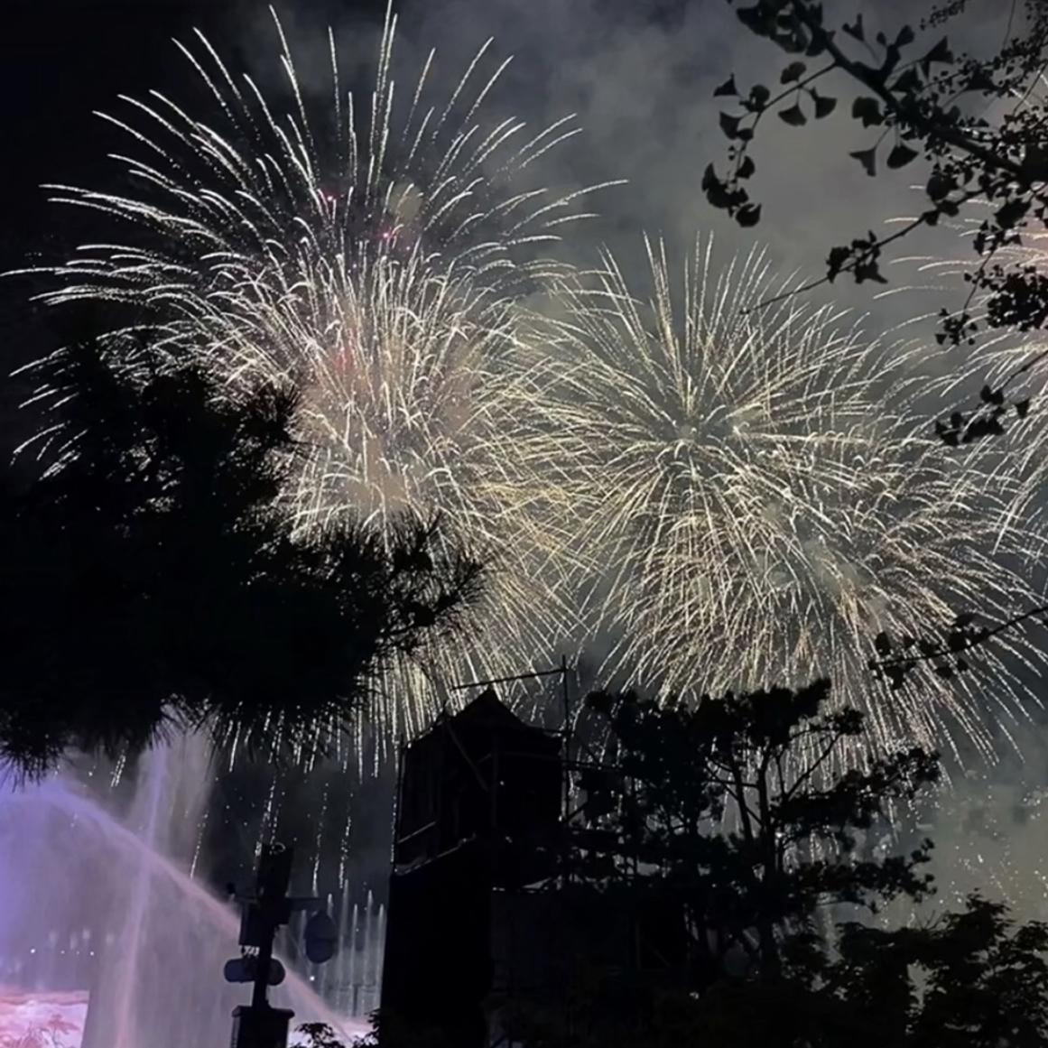 夏夜最后的烟火sea