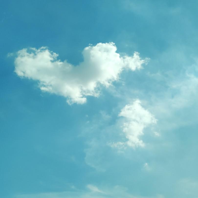 撒野（翻自 奇然）