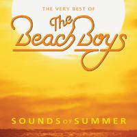 Barbara Ann - The Beach Boys (SC karaoke) 带和声伴奏