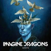 Imagine Dragons & Broiler - Shots (Broiler Remix) (Pre-V) 带和声伴奏