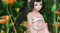 九张机专辑