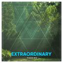 #16 Extraordinary Tracks for Yoga专辑