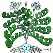 흙专辑