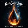 Black Stone Cherry - When The Pain Comes