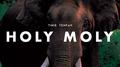 Holy Moly专辑