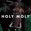Holy Moly专辑