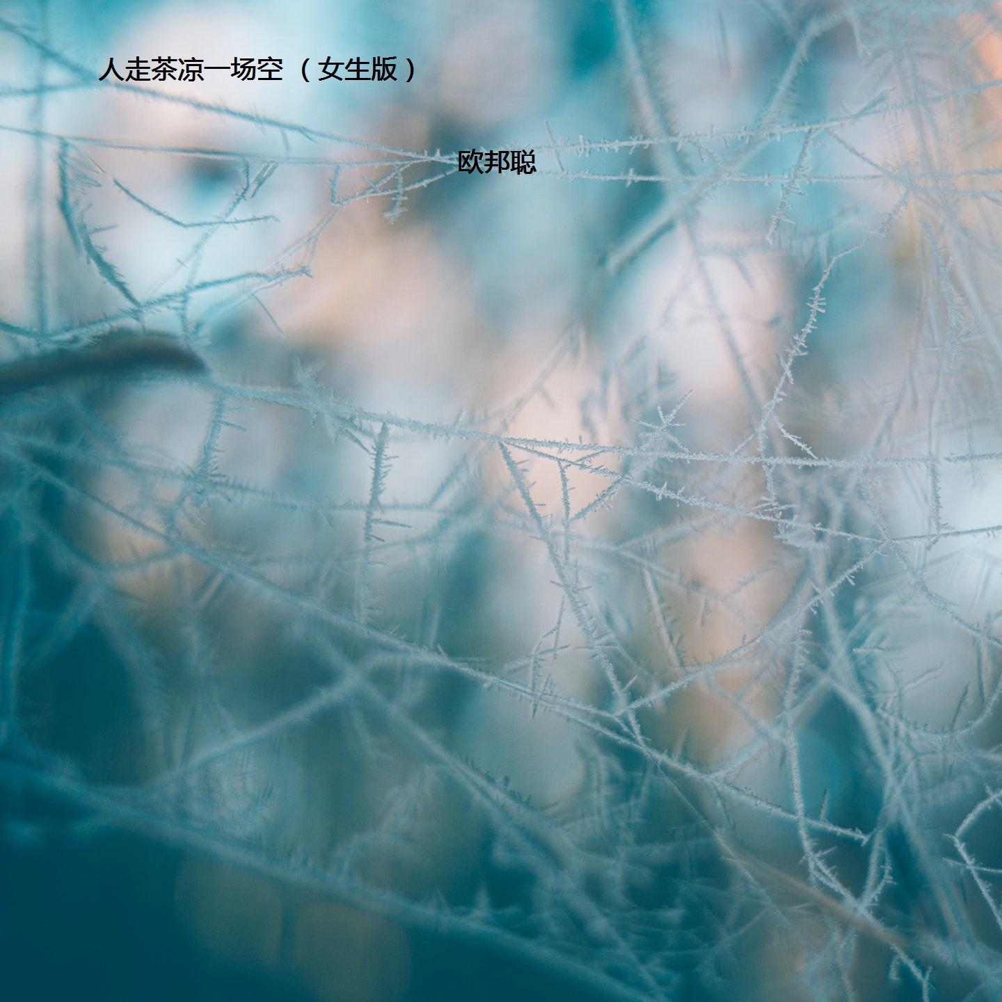 人走茶凉一场空 (女生版)