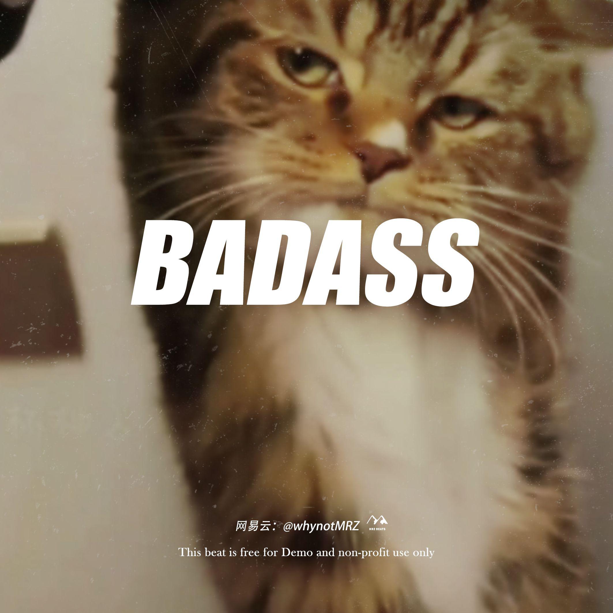 [Free]808 boombap type beat‘badass’