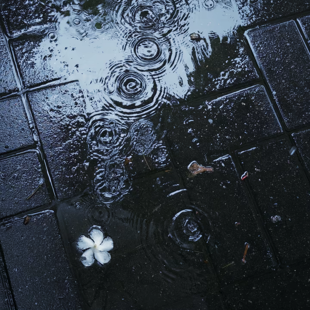 一样的雨