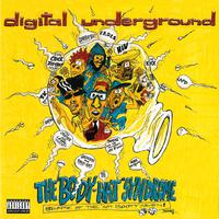 The Return of The Crazy One - Digital Underground (instrumental)