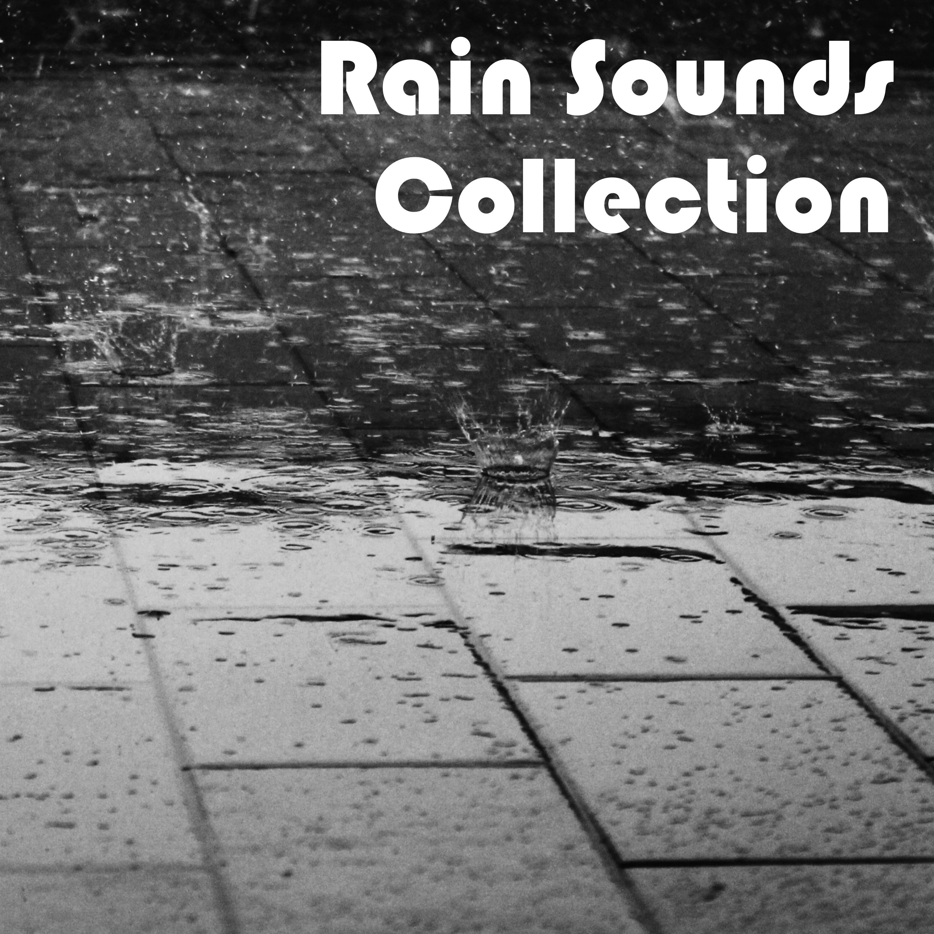 1 Hour Rain Sounds - Loopable, Natural Calming Noises to Soothe the Mind专辑