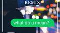 What Do You Mean?(Massica Remix)专辑