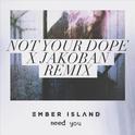 Need You (Not Your Dope X Jakoban Remix)专辑