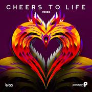 Cheers to Life (Trinidad and Tobago Carnival Soca 2016)