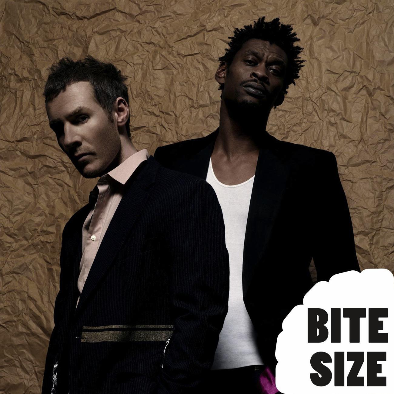 Bite Size Massive Attack专辑