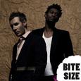 Bite Size Massive Attack