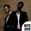 Bite Size Massive Attack