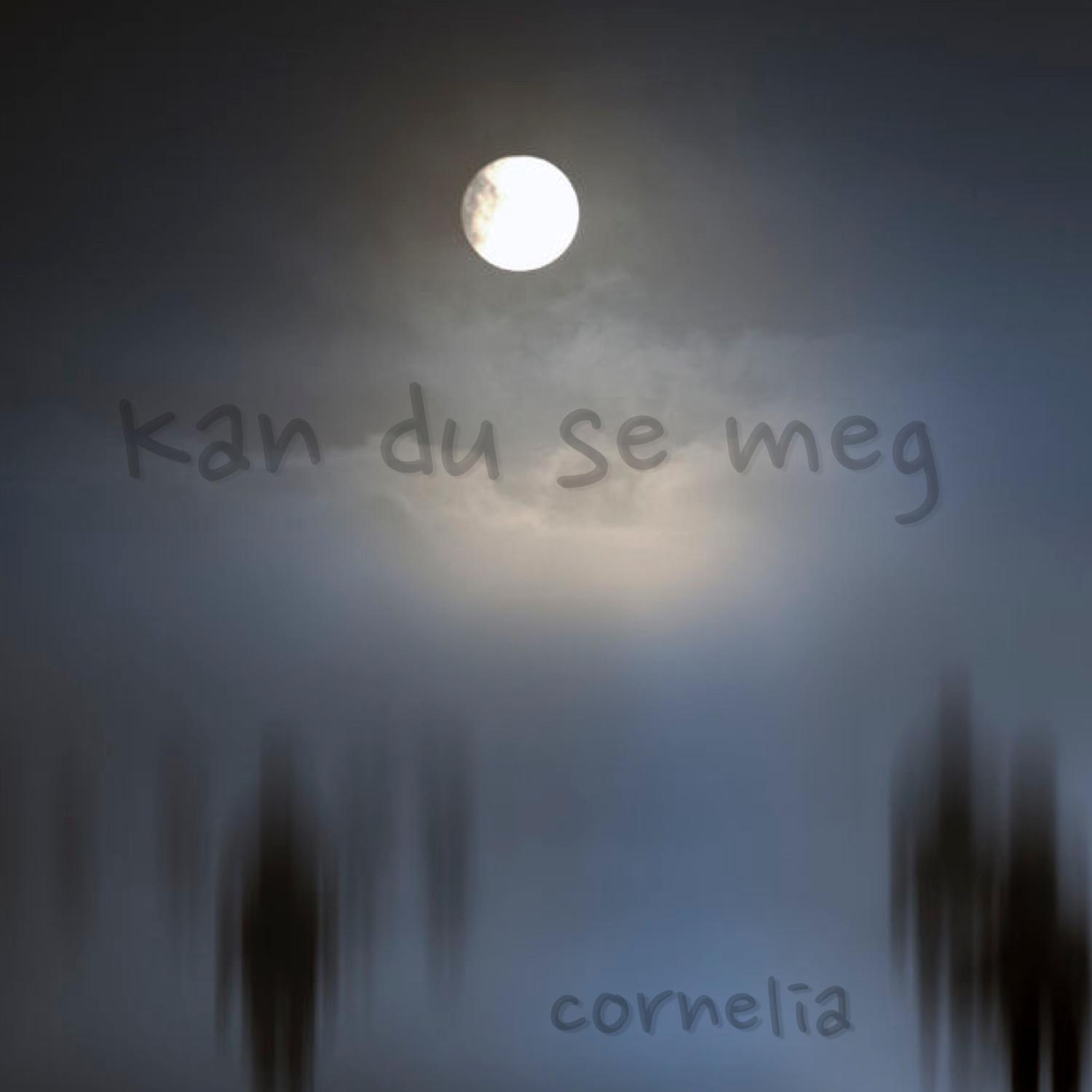 Kan du se meg