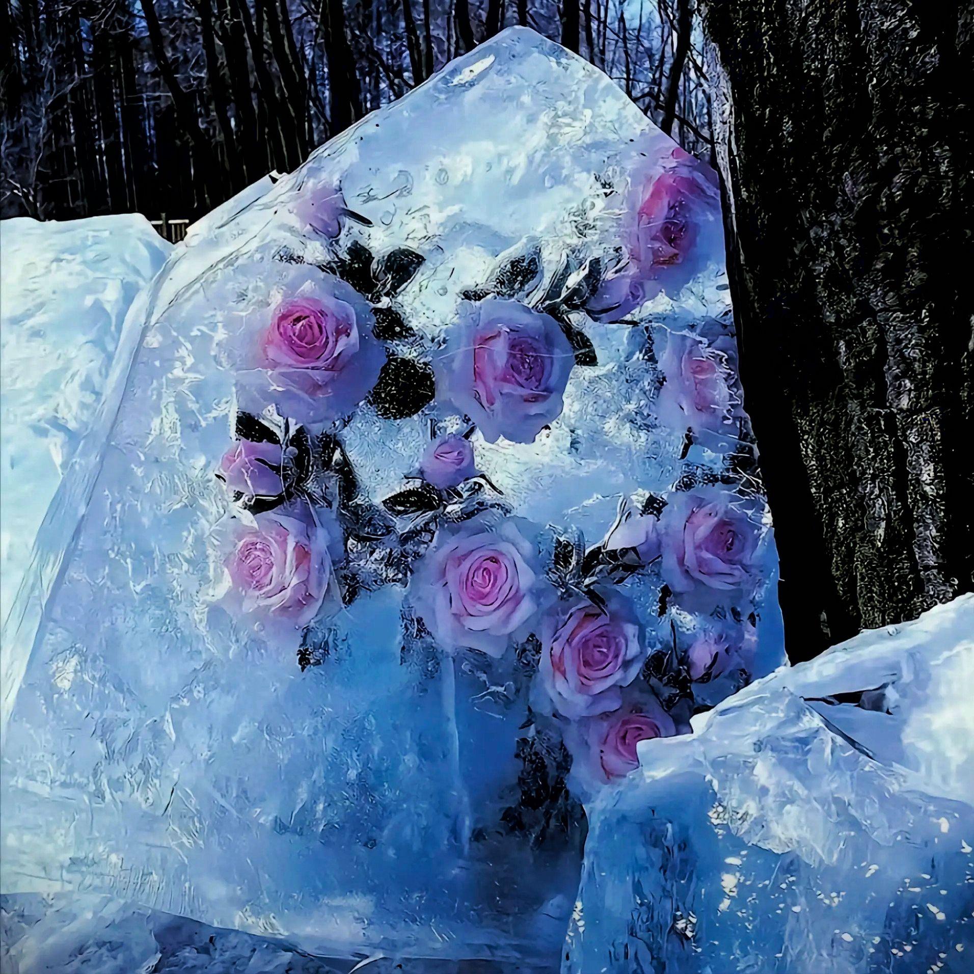 菲律宾没有雪，马尼拉也没有爱
