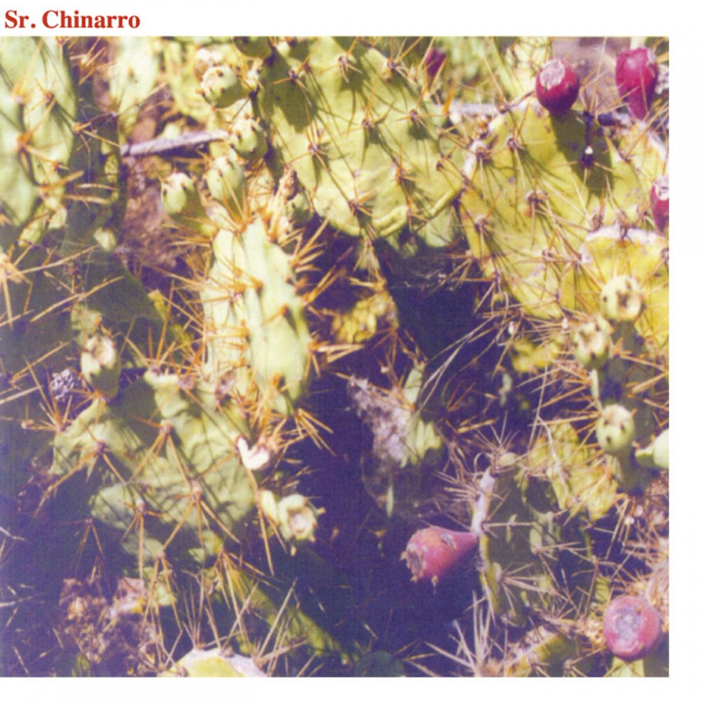 Sr. Chinarro