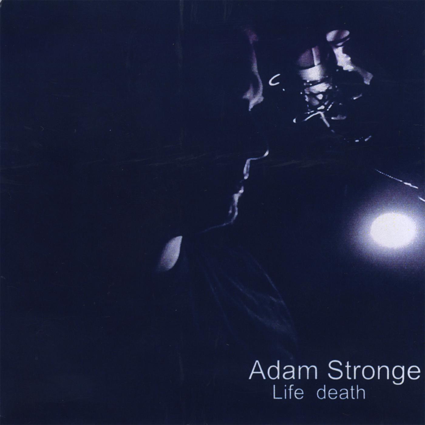 Adam Strong - Shards