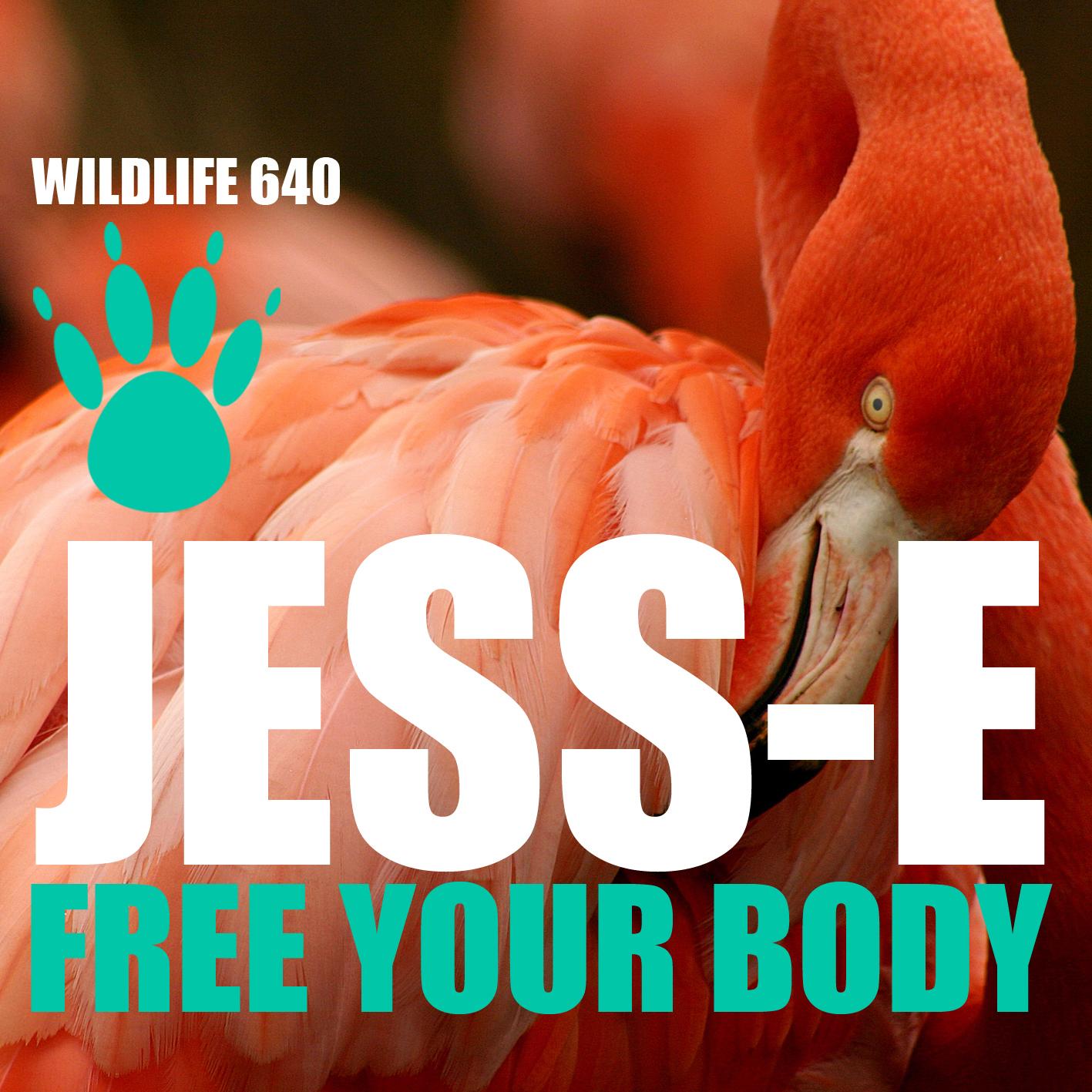 Free Your Body