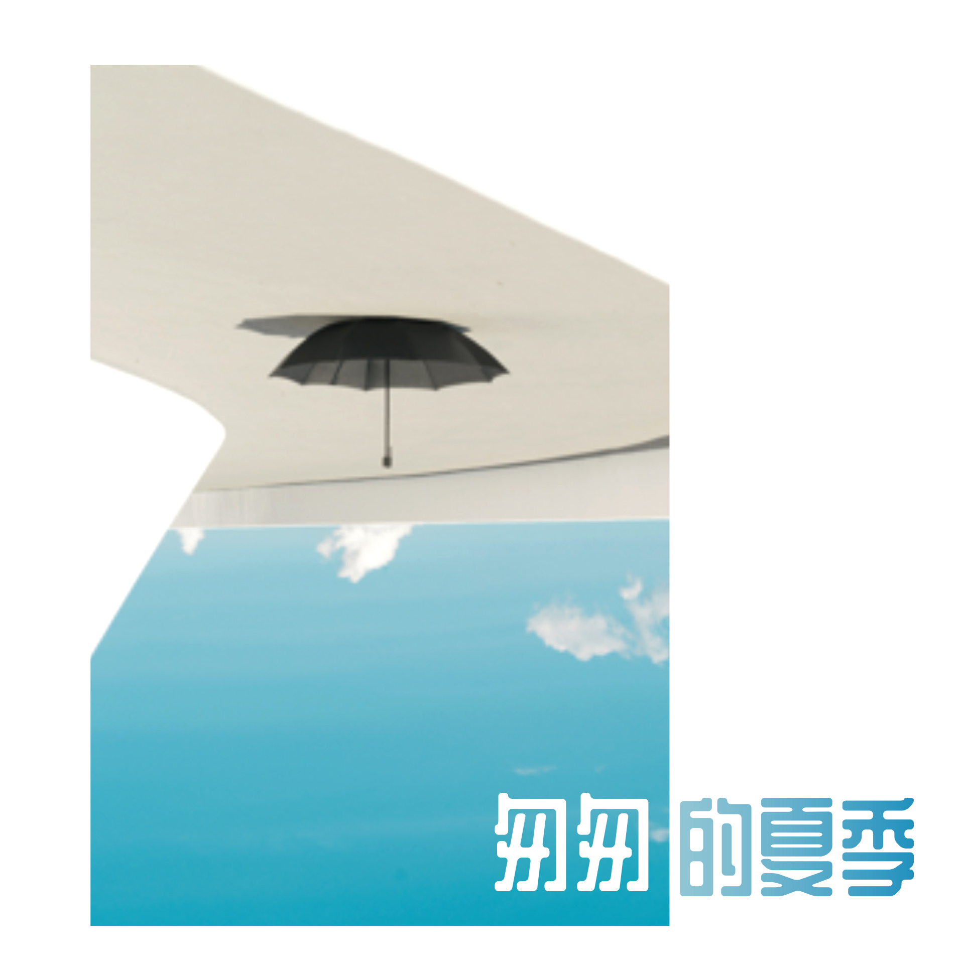匆匆的夏季