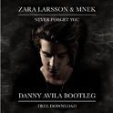 Never Forget You (Danny Avila Bootleg)专辑