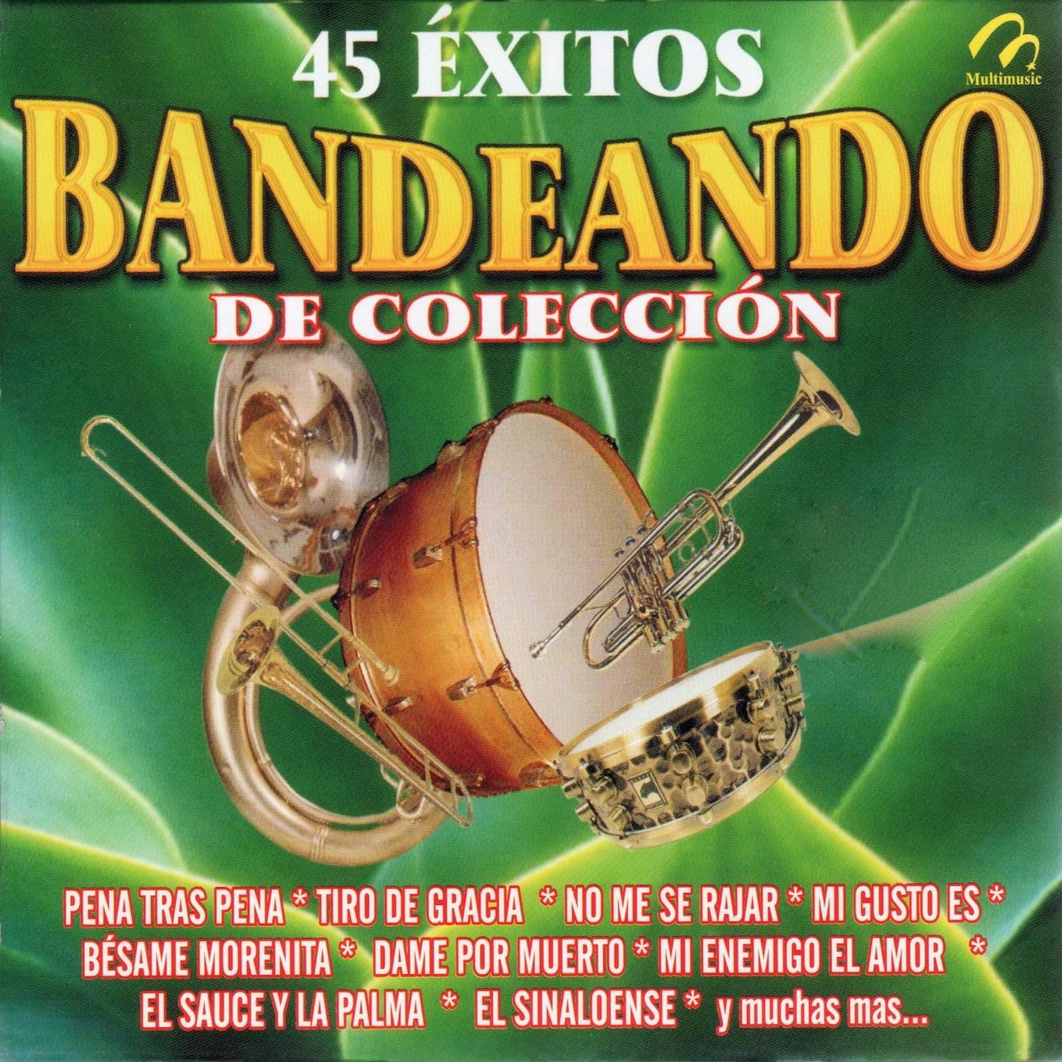 golondrina de ojos negros