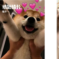 纸短情长(伴奏) (原版立体声)