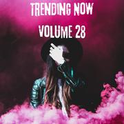 Trending Now Volume 28