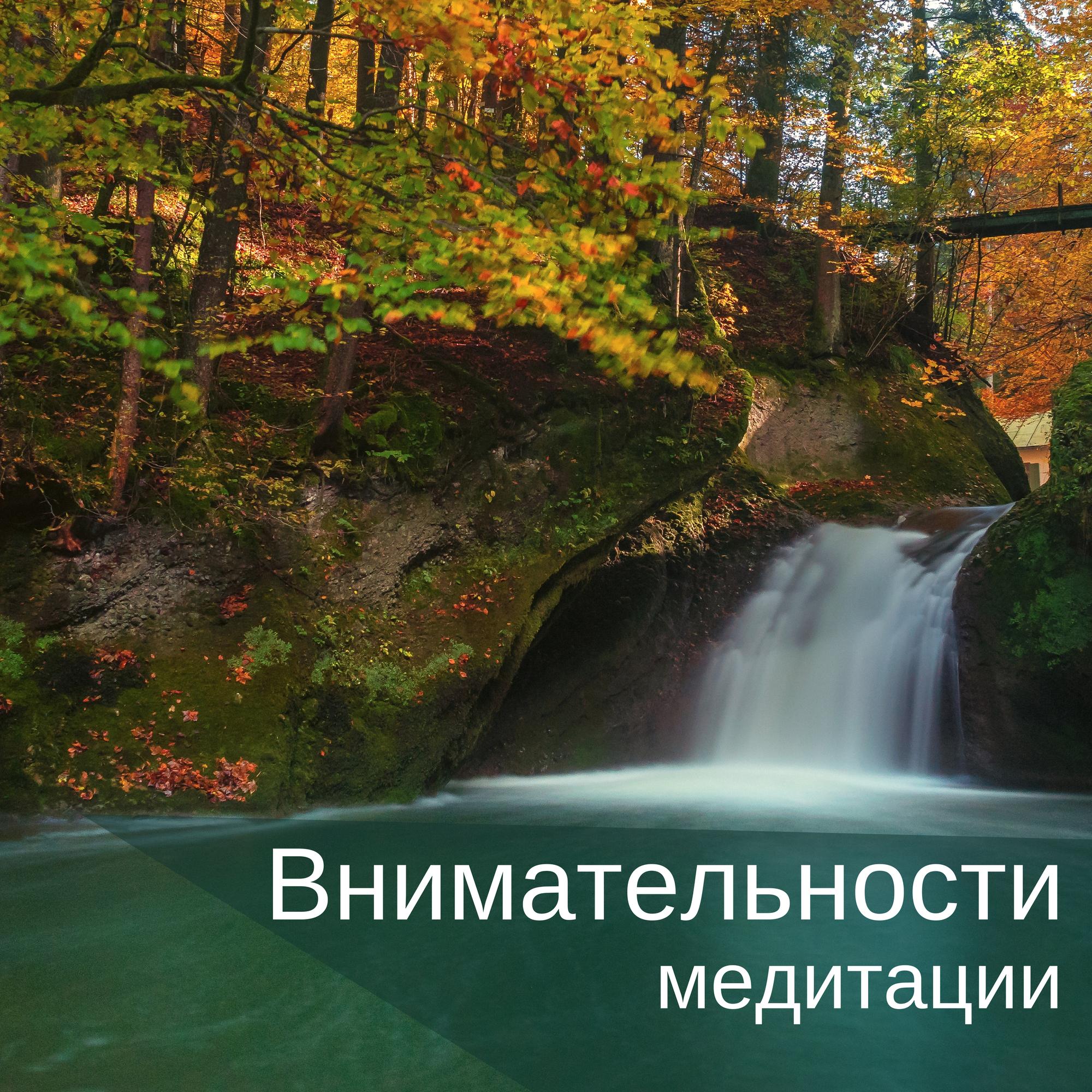 Реплик известных брендов-ferragamoФеррагамоСальваторе,высококачественнаякопияпальто