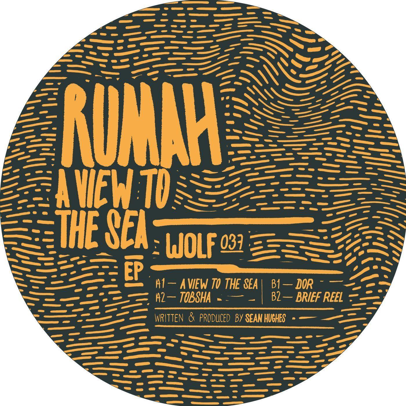 A View To The Sea EP