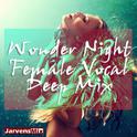 Wonder Night Female Vocal Deep Mix专辑