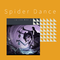 Spider Dance (yoriko Remix)专辑