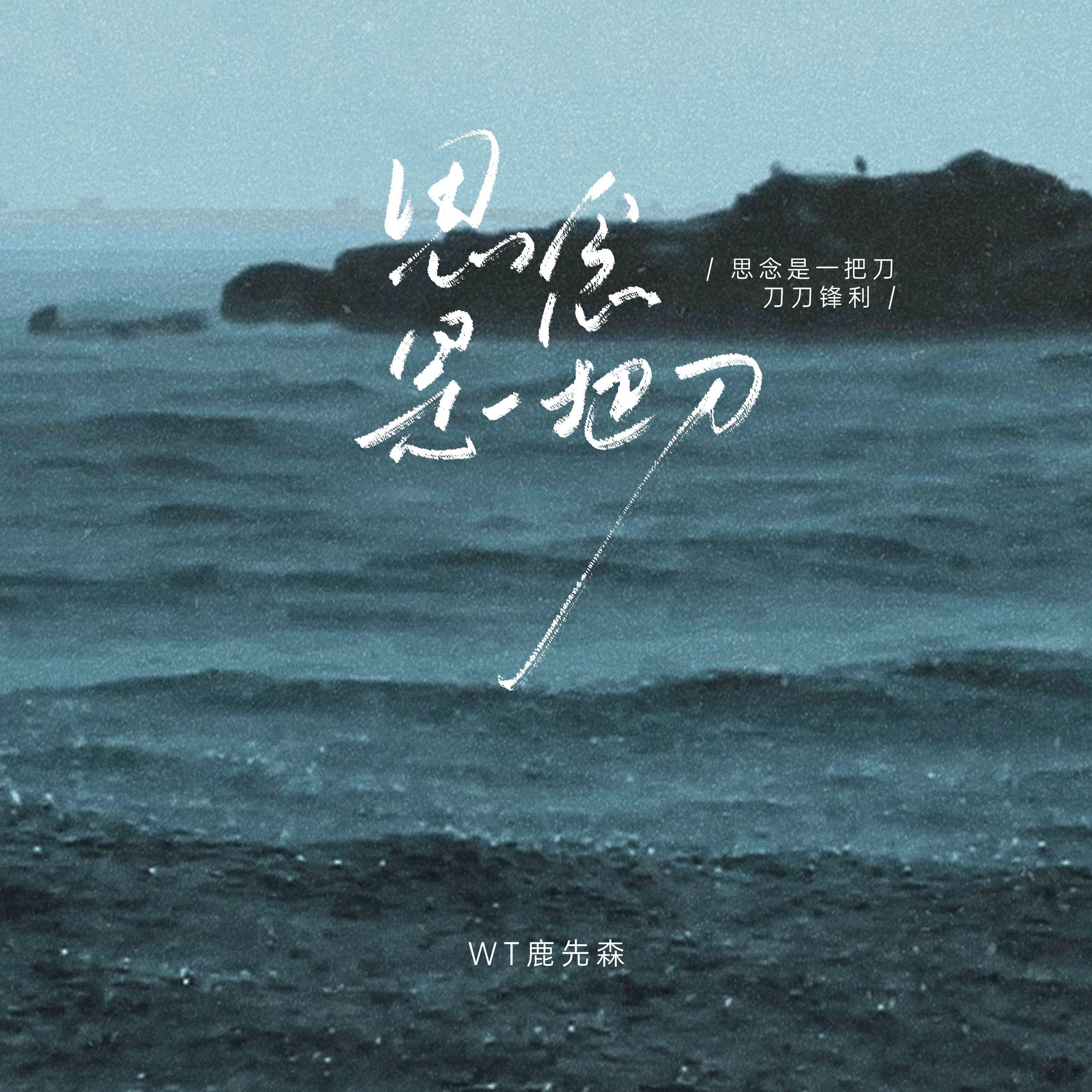 思念是一把刀 (思念是一把刀刀刀锋利)
