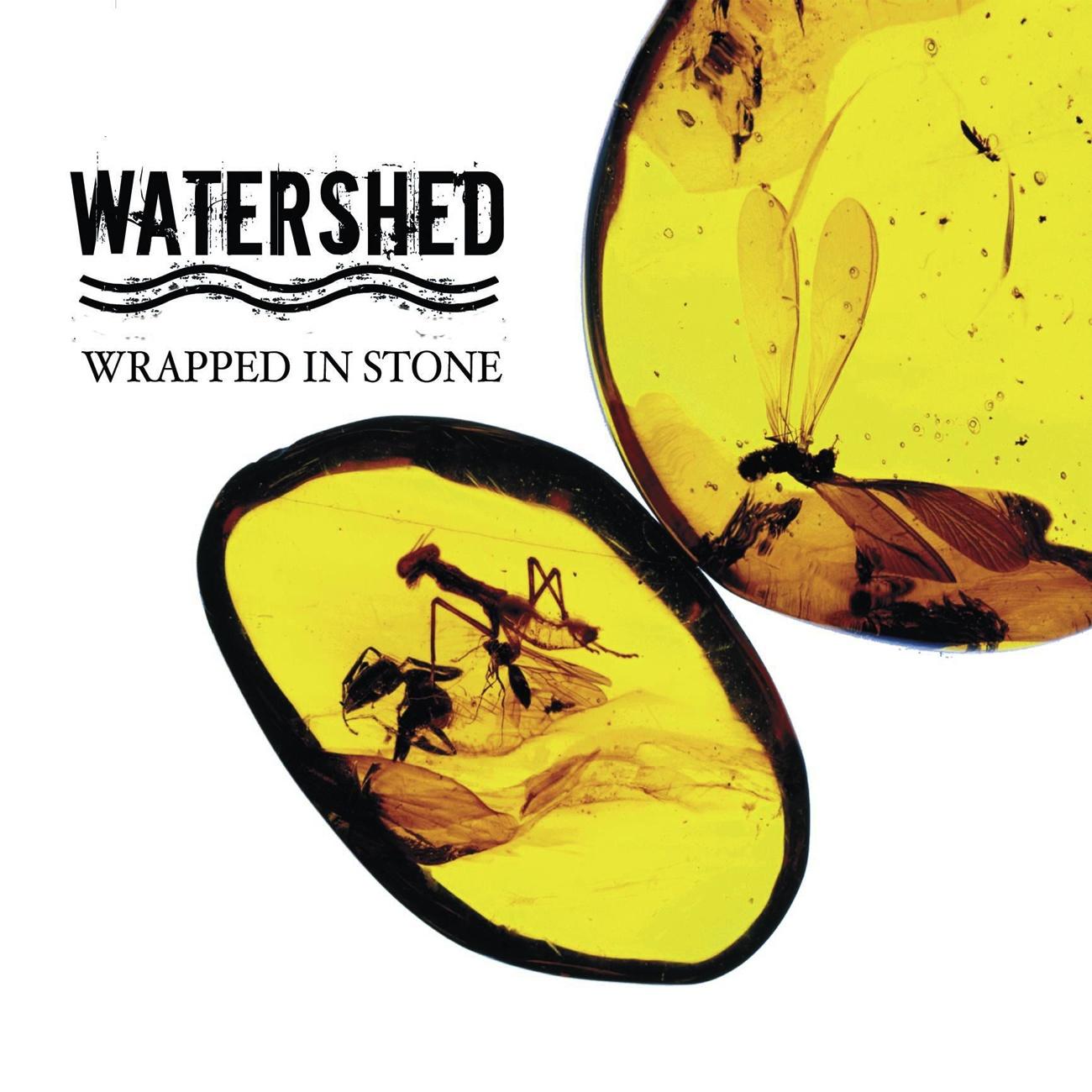Wrapped In Stone - Repack